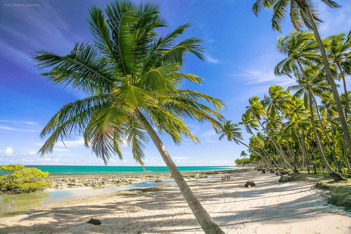 Carneiros Beach Resort Прая-дос-Карнейрос Экстерьер фото
